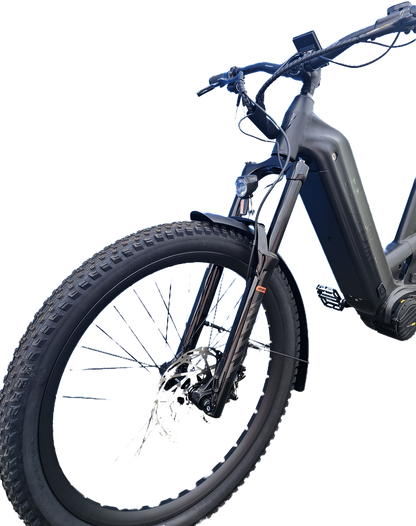 Renegade - Full Suspension - Step Through