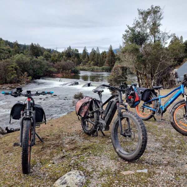 Electric Bikes