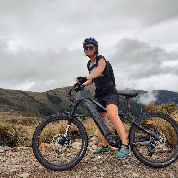 Electric Mountain Bike